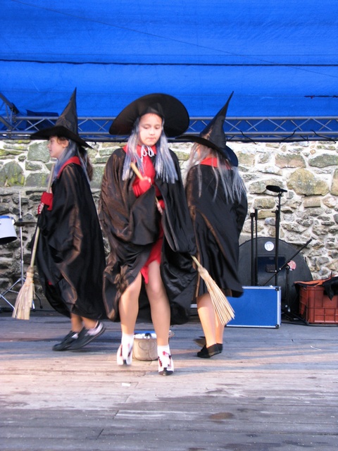 2011_slezskoostravsky hrad 011