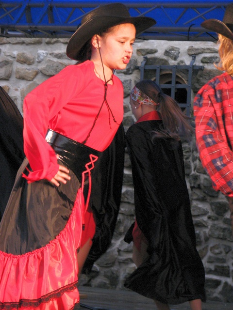 2011_slezskoostravsky hrad 040